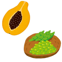 ����p,�A�����M�[,�哤,����,�p�p�C��